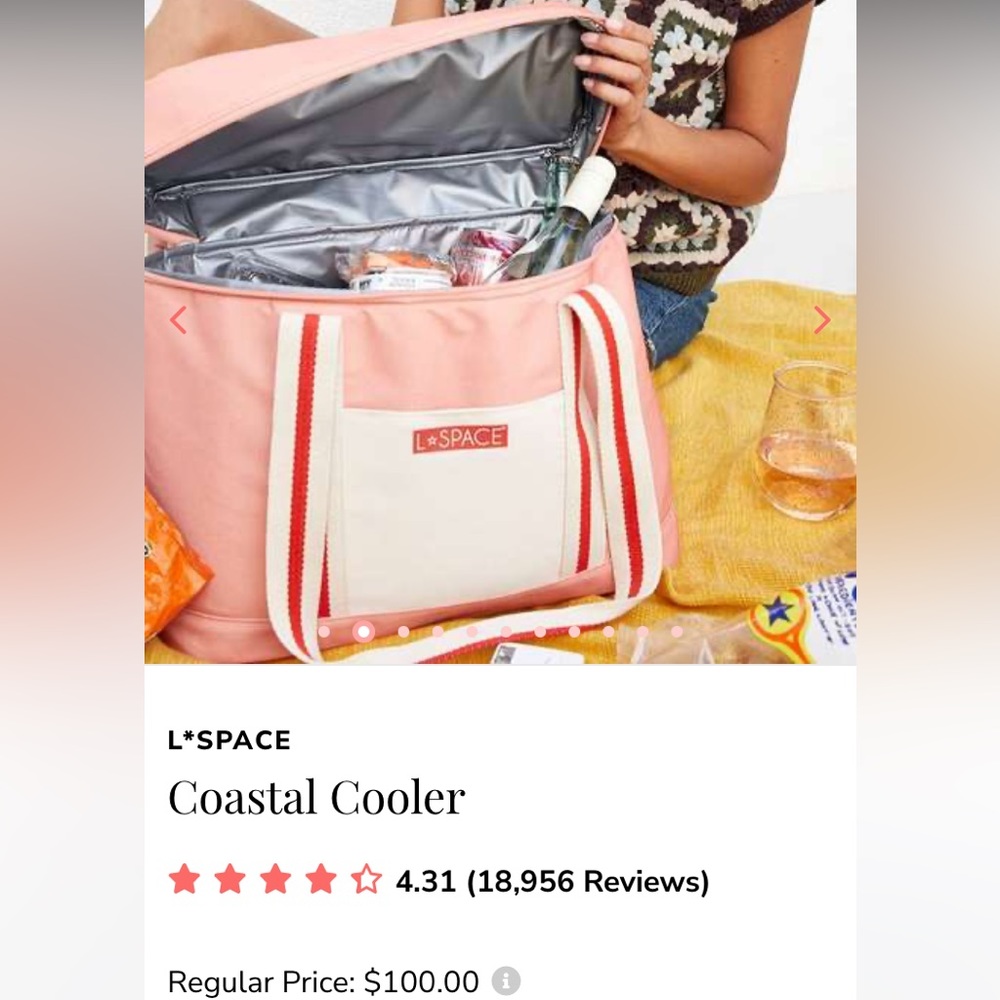 NWT L*Space Coastal‎ Cooler Bag